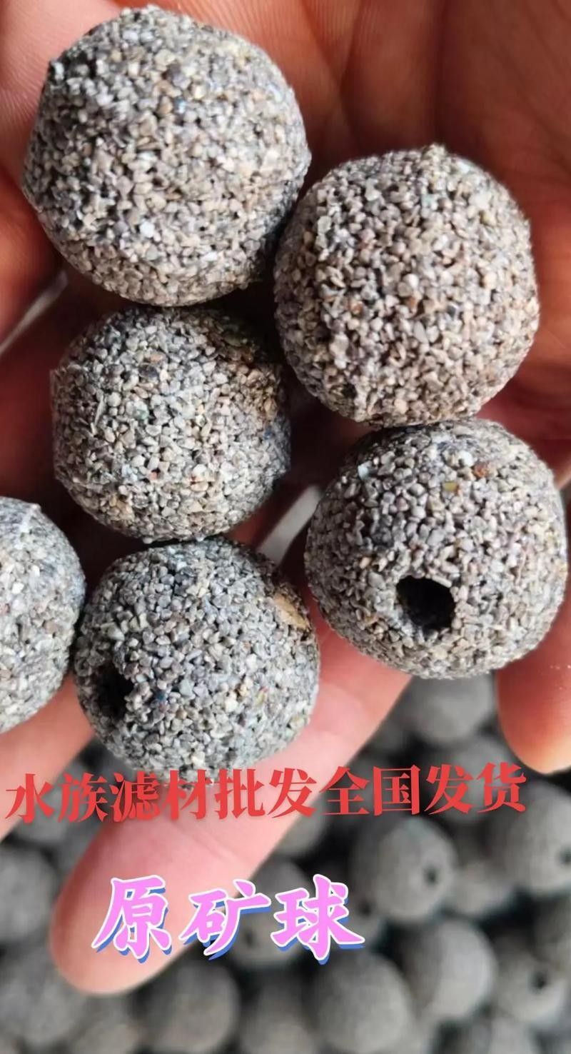 龍魚線上B2B平臺有哪些推薦（針對龍魚相關產品的b2b平臺推薦）