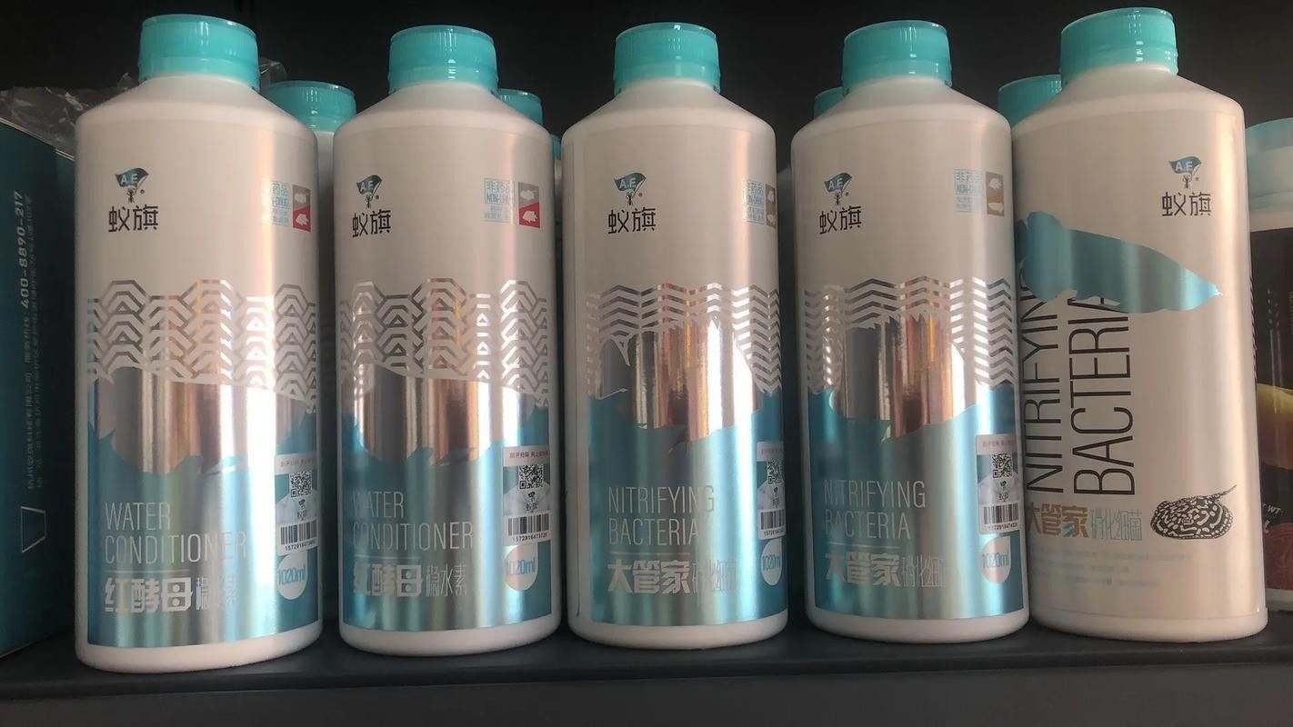 龍魚線上B2B平臺有哪些推薦（針對龍魚相關產品的b2b平臺推薦）