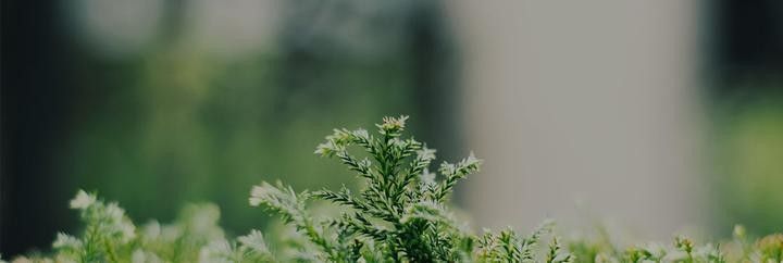 龍魚線上B2B平臺有哪些推薦（針對龍魚相關產品的b2b平臺推薦）