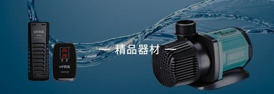 龍魚線上B2B平臺有哪些推薦（針對龍魚相關產品的b2b平臺推薦）