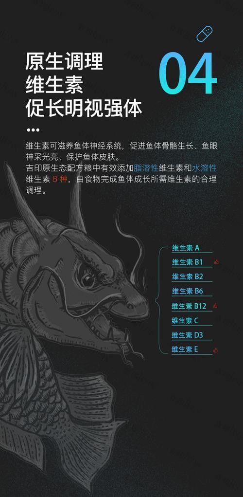 紅龍魚吃什么飼料比較好（紅龍魚的飼料選擇）