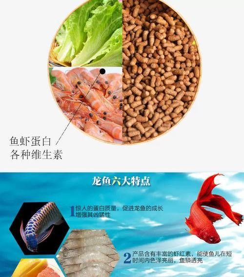 紅龍魚吃什么飼料比較好（紅龍魚的飼料選擇）