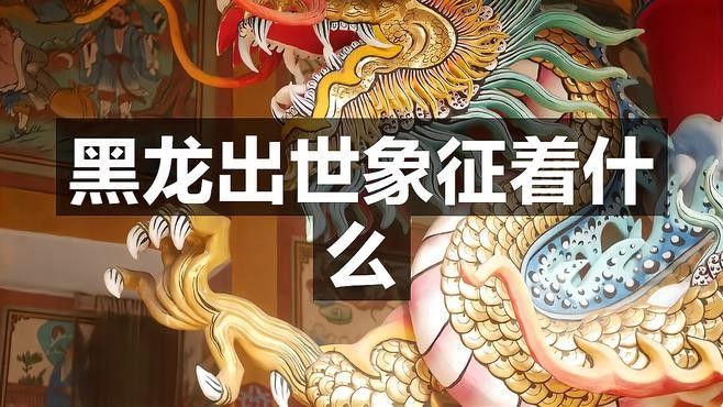 黑色龍在國潮設計中的應用（黑色龍元素在國潮設計中的應用）