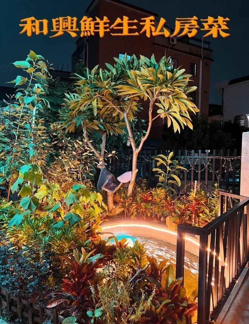和興龍魚總店有哪些招牌菜（和興龍魚總店招牌菜品推薦:“和興鮮生”等店鋪的菜品推薦） 和興龍魚總店有哪些招牌菜（和興龍魚總店招牌菜品推薦:“和興鮮生”等店鋪的菜品推薦） 龍魚百科 第3張