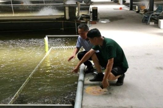 銘龍漁場有哪些經(jīng)典救治案例（福建省及周邊地區(qū)的水產(chǎn)養(yǎng)殖救治案例具有參考價值）