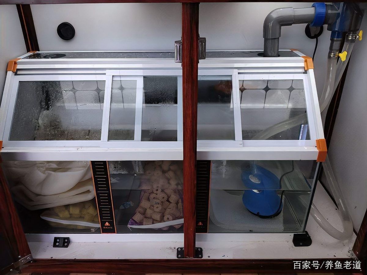 生化過濾層需要多大的空間（生化倉(cāng)的濾材選擇有哪些標(biāo)準(zhǔn)） 生化過濾層需要多大的空間（生化倉(cāng)的濾材選擇有哪些標(biāo)準(zhǔn)） 龍魚百科 第3張