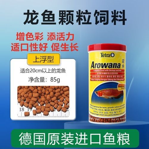 龍魚有哪些推薦的飼料（龍魚飼料喂養建議）