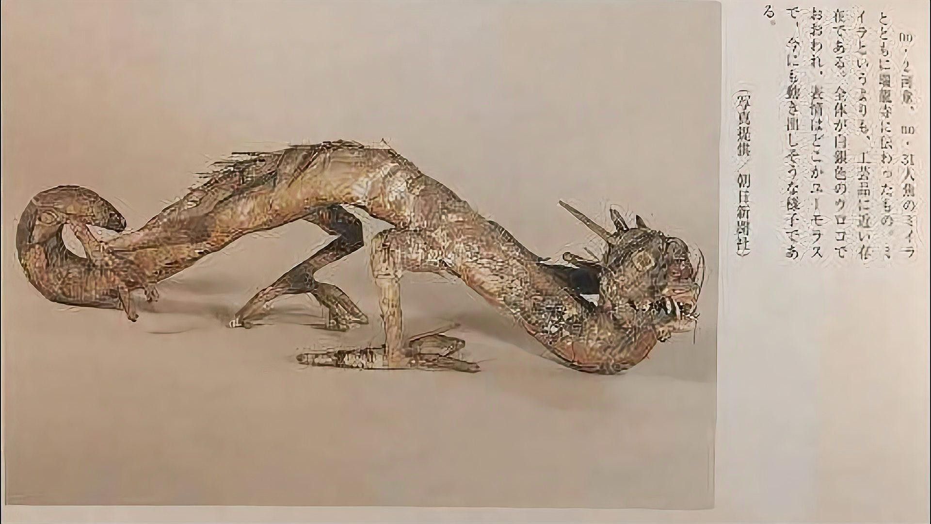 日本龍?jiān)谀男┪幕杏畜w現(xiàn)（日本文化中的龍）