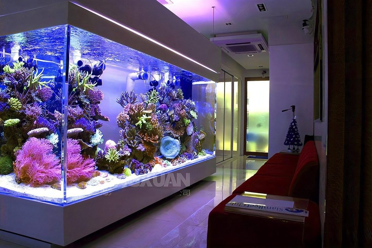 金龍魚缸背景更換步驟（亞克力魚缸定制魚缸背景紙貼法全攻略提升顏值又促進發色鄂本通）