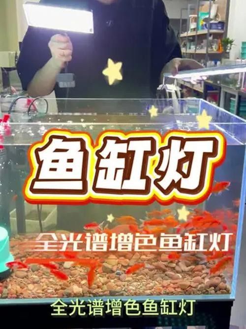 哪種品牌魚缸照明燈質量最好（魚缸燈品牌排行榜京東四款百元以內魚缸燈效果最好）