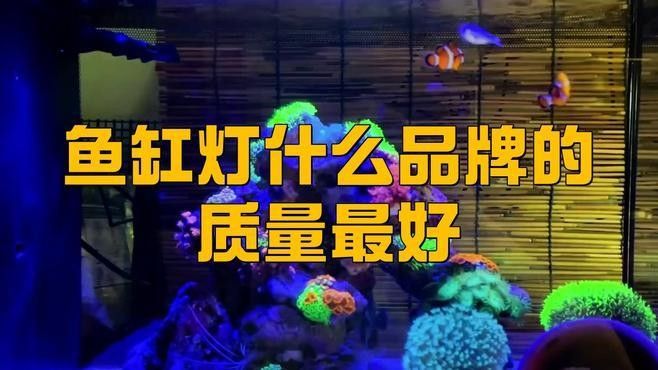 哪種品牌魚缸照明燈質量最好（魚缸燈品牌排行榜京東四款百元以內魚缸燈效果最好）