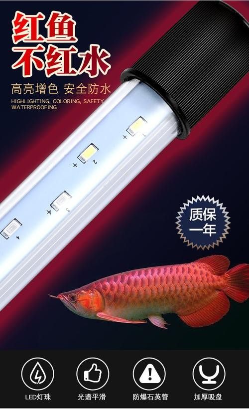 哪種品牌魚缸照明燈質量最好（魚缸燈品牌排行榜京東四款百元以內魚缸燈效果最好）