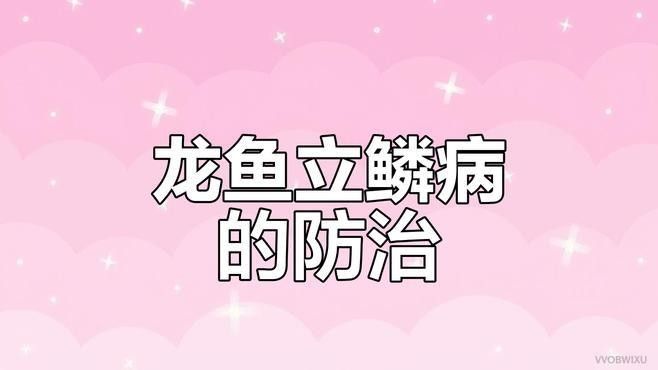 龍魚冷水飼養有哪些長期風險（如何預防養魚小藝龍魚能冷水養嗎）