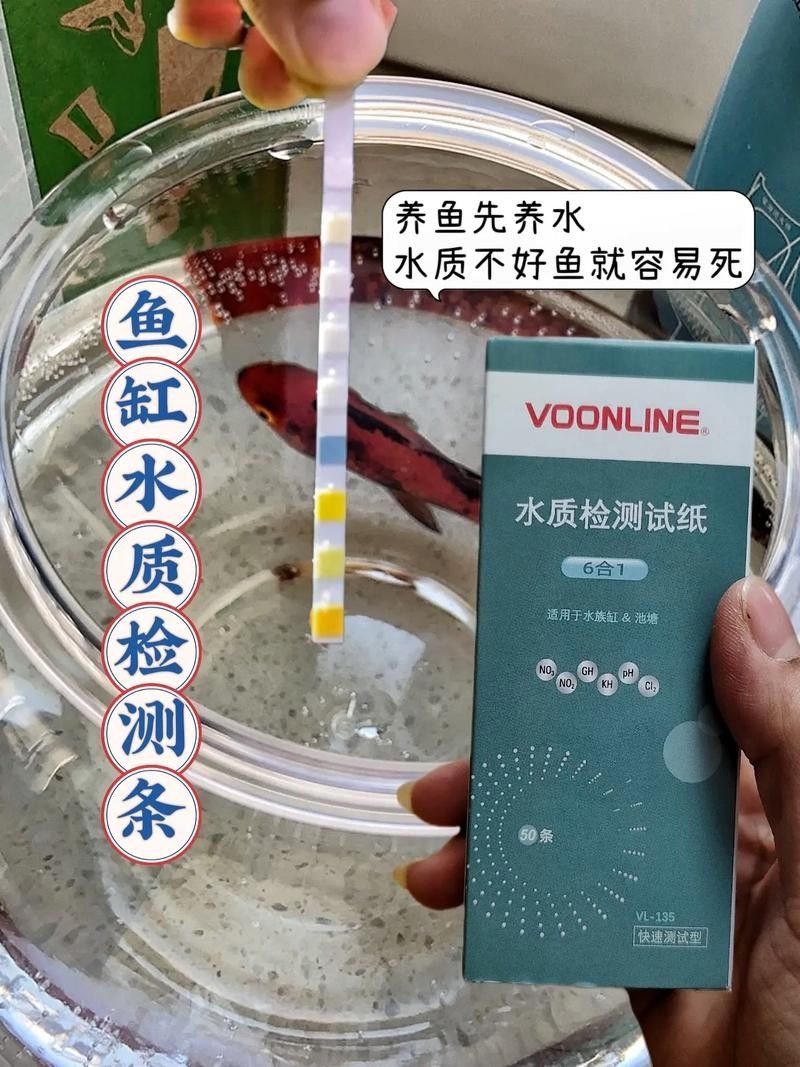 混養時需要注意哪些細節（混養時需注意以下關鍵細節）