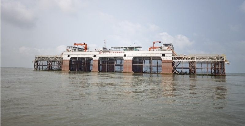 海口龍魚養殖場哪個最大（海口出境水生動物養殖場注冊登記名單公布）