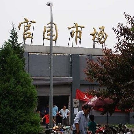 官園市場是否還有龍魚交易？（北京官園市場原址已閉市，新魚市未發現龍魚交易記錄）