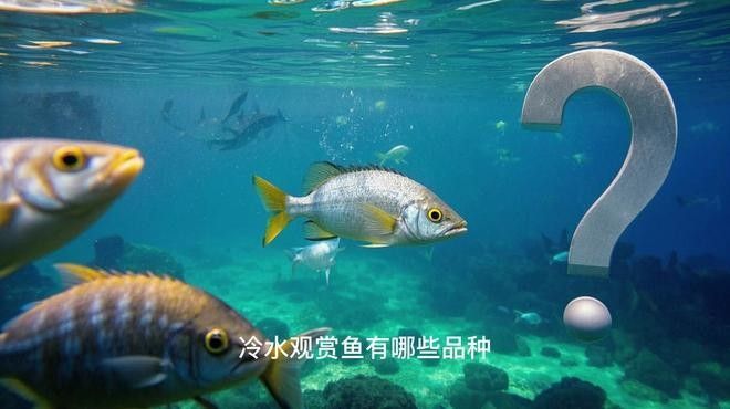 哪些龍魚品種可以冷水飼養？（龍魚品種及飼養建議：青龍魚（綠龍魚）可適應較低水溫的龍魚品種）