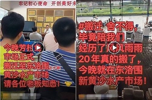 廣州龍魚批發市場有哪些知名的商家（廣州最大花鳥魚蟲市場在哪觀賞魚價格如此便宜）