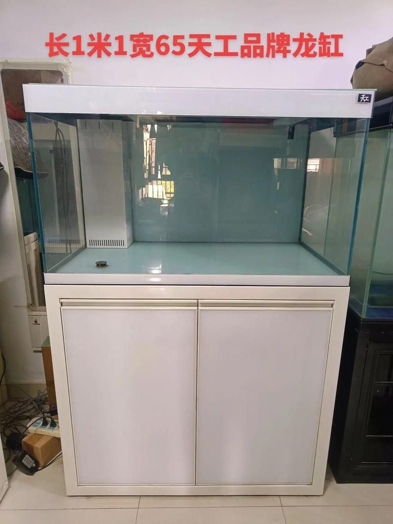 有哪些龍魚專用濾材（龍魚專用濾材推薦及特點(diǎn)分析）