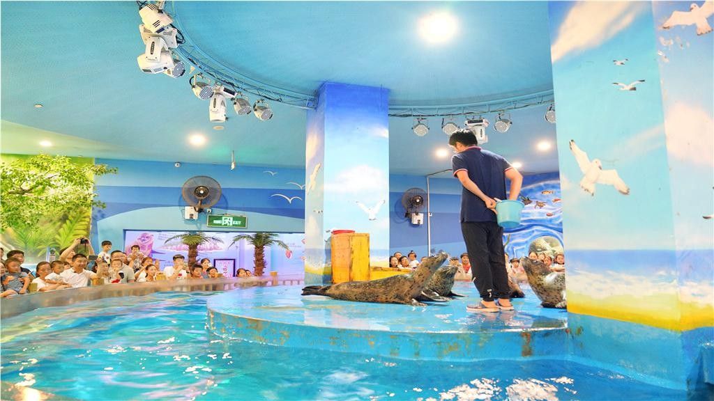 <strong><mark>中原</mark></strong>哪個(gè)水族館龍魚(yú)好？祥龍魚(yú)場(chǎng)龍魚(yú)（<strong><mark>中原</mark></strong>區(qū)水族館、龍魚(yú)養(yǎng)殖場(chǎng)）