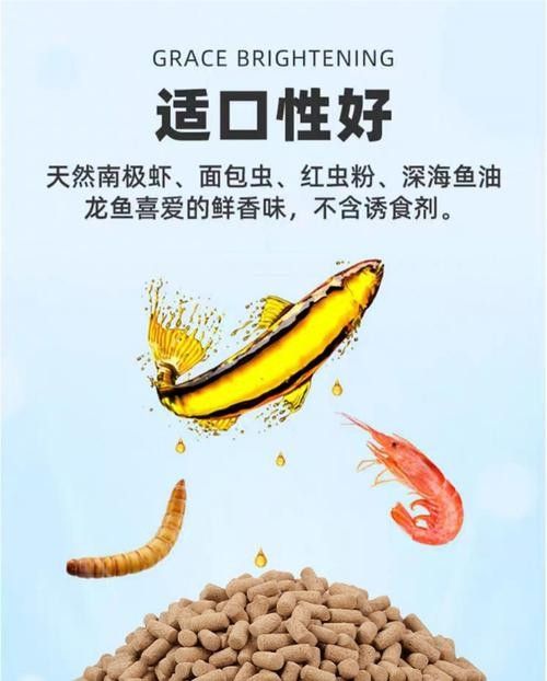 金龍魚飼料可以冷凍保存嗎？（金龍魚飼料冷凍保存需根據飼料類型和成分區別對待）