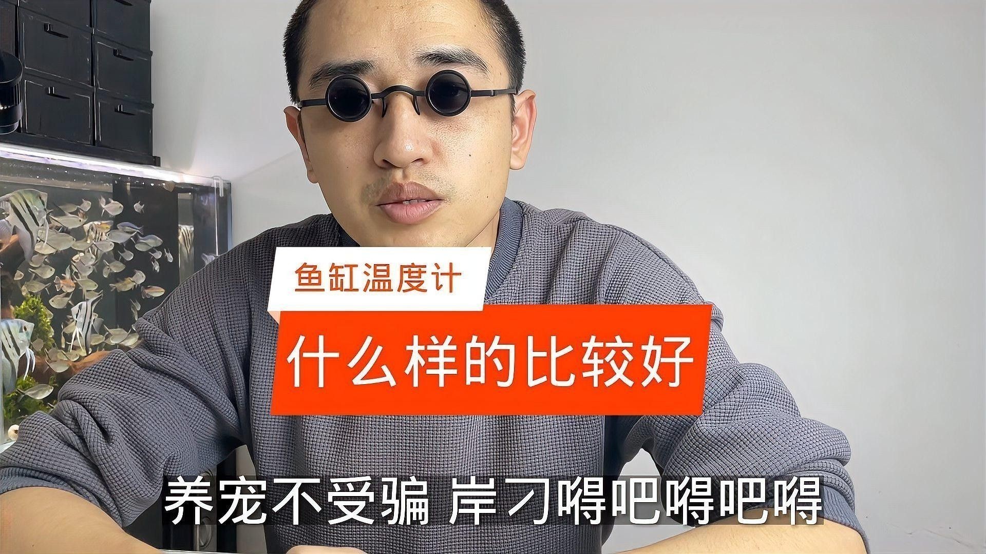 龍魚溫度計哪個品牌好（魚缸溫度計哪個品牌好）