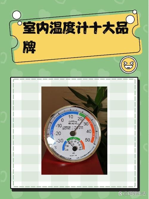 龍魚溫度計哪個品牌好（魚缸溫度計哪個品牌好）