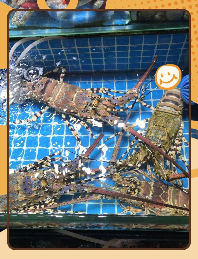 黃沙海鮮市場購物攻略：廣州黃沙市場購物攻略