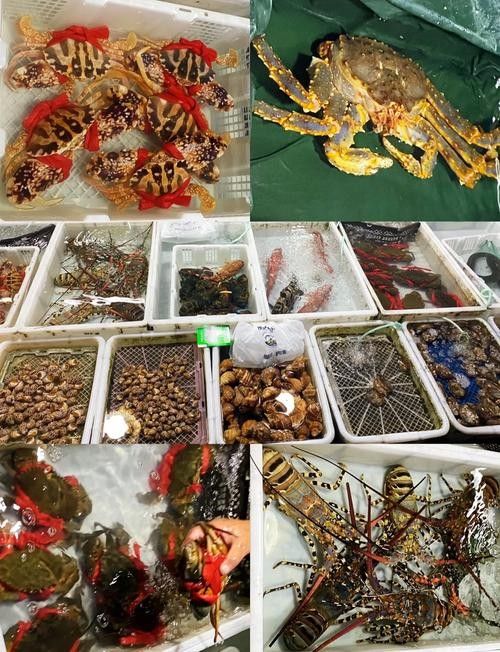 黃沙海鮮市場購物攻略：廣州黃沙市場購物攻略