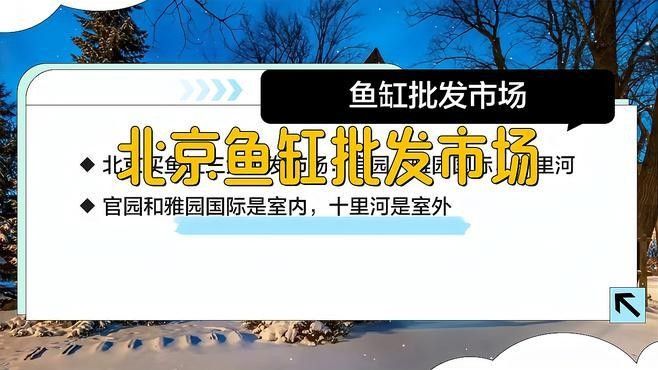 北京觀賞魚市場哪個最大最便宜：北京水族市場 北京觀賞魚市場哪個最大最便宜：北京水族市場 龍魚百科 第4張