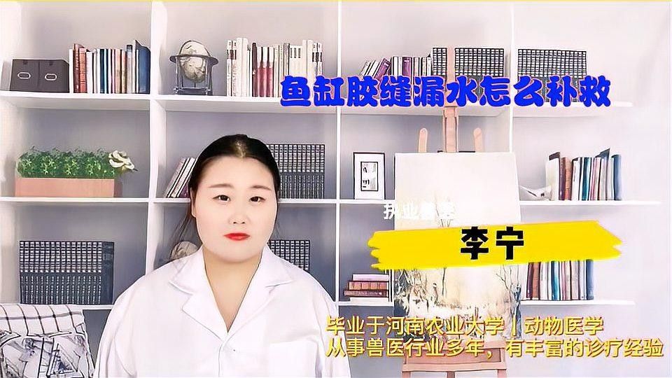 魚缸漏水怎么補救：金九龍魚缸漏水二次補膠曠野營地指南魚缸漏水修復全攻略 魚缸漏水怎么補救：金九龍魚缸漏水二次補膠曠野營地指南魚缸漏水修復全攻略 龍魚百科 第2張