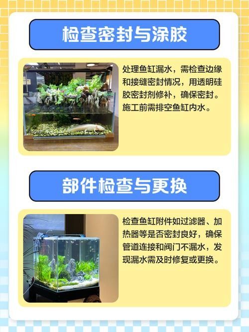 魚缸漏水怎么補救：金九龍魚缸漏水二次補膠曠野營地指南魚缸漏水修復全攻略 魚缸漏水怎么補救：金九龍魚缸漏水二次補膠曠野營地指南魚缸漏水修復全攻略 龍魚百科 第5張