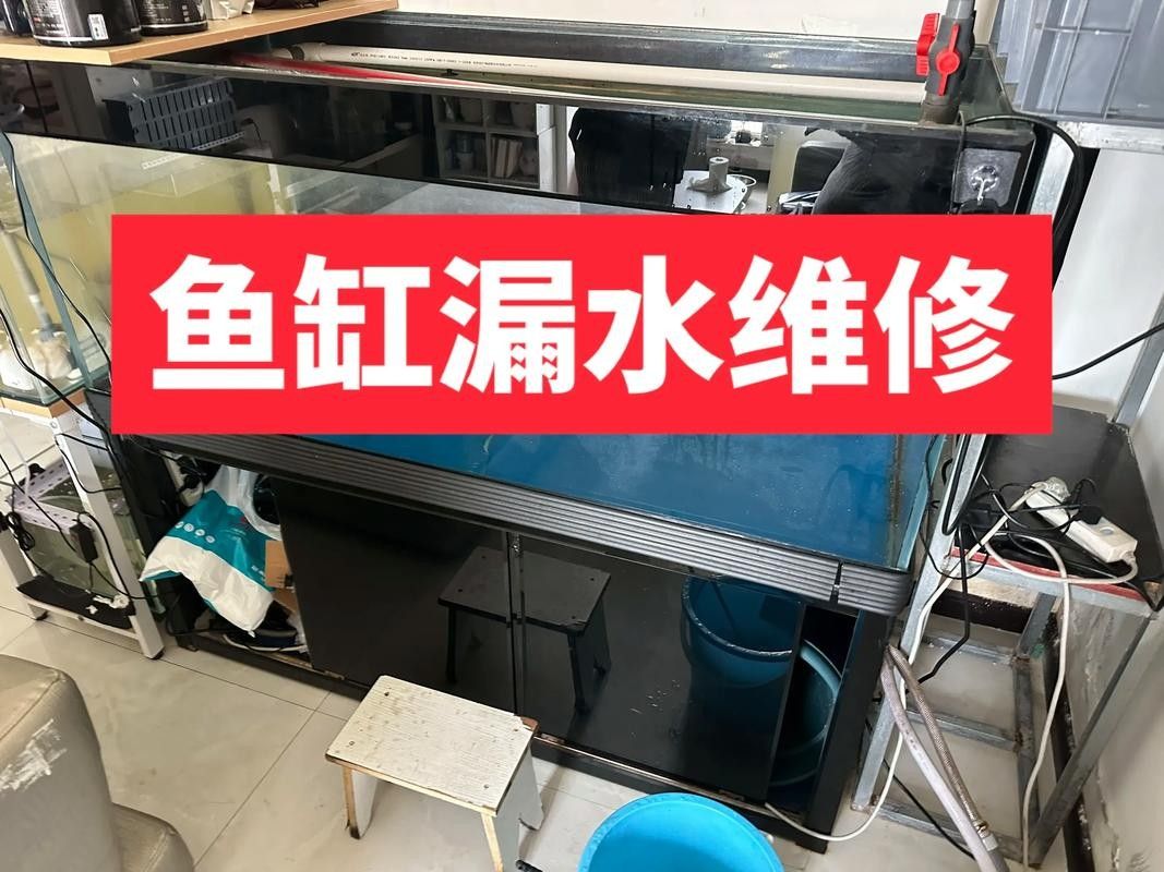 魚缸漏水怎么補救：金九龍魚缸漏水二次補膠曠野營地指南魚缸漏水修復全攻略 魚缸漏水怎么補救：金九龍魚缸漏水二次補膠曠野營地指南魚缸漏水修復全攻略 龍魚百科 第3張