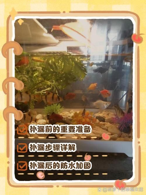 魚缸漏水怎么補救：金九龍魚缸漏水二次補膠曠野營地指南魚缸漏水修復全攻略 魚缸漏水怎么補救：金九龍魚缸漏水二次補膠曠野營地指南魚缸漏水修復全攻略 龍魚百科 第8張