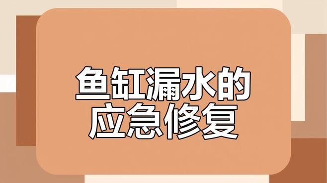 魚缸漏水怎么補救：金九龍魚缸漏水二次補膠曠野營地指南魚缸漏水修復全攻略 魚缸漏水怎么補救：金九龍魚缸漏水二次補膠曠野營地指南魚缸漏水修復全攻略 龍魚百科 第9張
