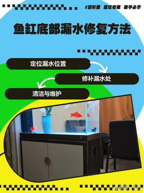 魚缸漏水怎么補救：金九龍魚缸漏水二次補膠曠野營地指南魚缸漏水修復全攻略 魚缸漏水怎么補救：金九龍魚缸漏水二次補膠曠野營地指南魚缸漏水修復全攻略 龍魚百科 第4張