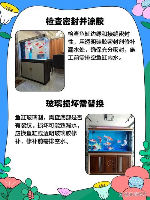 魚缸漏水怎么補救：金九龍魚缸漏水二次補膠曠野營地指南魚缸漏水修復全攻略 魚缸漏水怎么補救：金九龍魚缸漏水二次補膠曠野營地指南魚缸漏水修復全攻略 龍魚百科 第6張