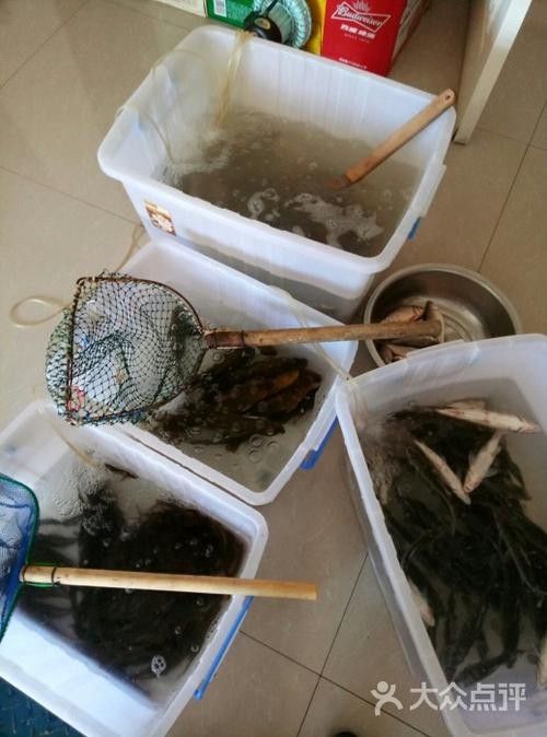 齊齊哈爾市小黑龍魚館的包間可通過以下方式操作：絕絕子：齊齊哈爾小黑龍魚館