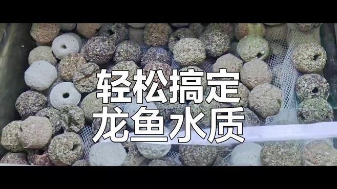 龍魚濾材需兼顧物理過濾、化學(xué)過濾和生物過濾和生物過濾三大功能：農(nóng)情萬(wàn)家，養(yǎng)龍魚濾材組合使用方法