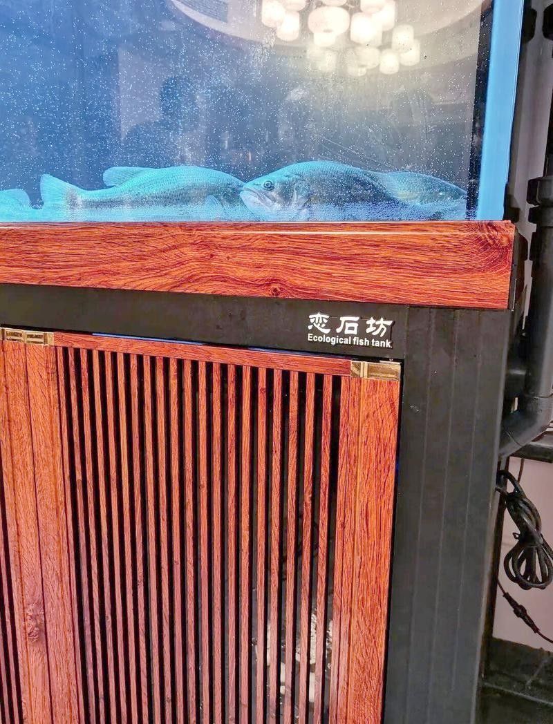 挑選龍魚魚缸需綜合考慮尺寸、設(shè)計(jì)、水質(zhì)適配性及功能性及功能性：養(yǎng)龍魚，選多大缸才合適