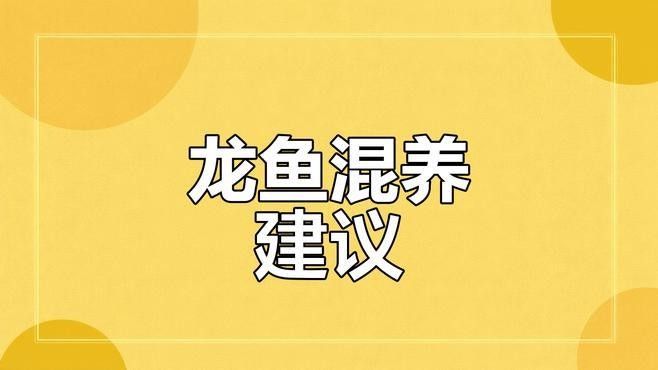 魚(yú)生科技，龍魚(yú)多條如何混養(yǎng)幾個(gè)小技巧：養(yǎng)魚(yú)大全，龍魚(yú)多條如何混養(yǎng)幾個(gè)小技巧