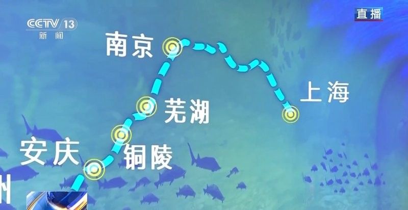 如何判斷鱘龍魚是否適合放生：中華鱘放生效果探討 如何判斷鱘龍魚是否適合放生：中華鱘放生效果探討 龍魚百科 第9張