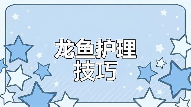 如何預防龍魚尾巴紅血絲？：養魚小藝龍魚斷尾、斷鰭怎么辦龍魚斷尾、斷鰭怎么辦