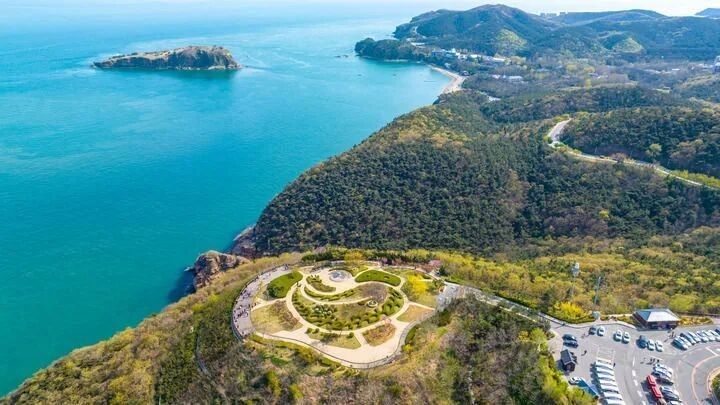 鲅魚圈哪個水族館龍魚好？祥龍魚場龍魚：祥龍魚場專業性和品質保障主要體現在以下方面