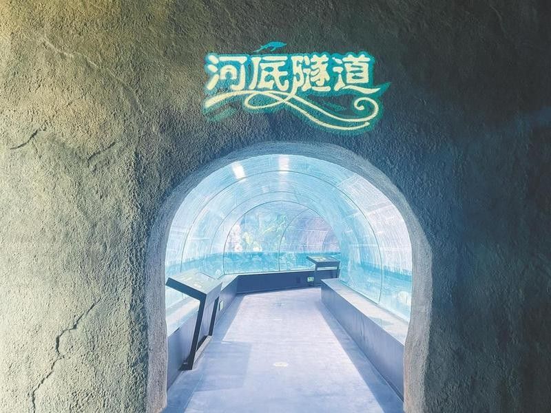 尖山哪個水族館龍魚好？祥龍魚場龍魚：探營紹興大型水族館,鎮館之寶是它