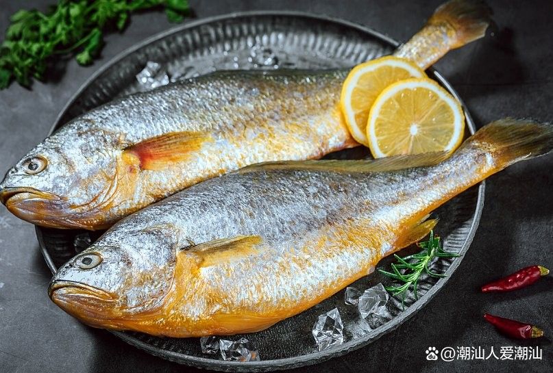 巴浪魚的最佳食用季節：巴浪魚的最佳食用季節主要集中在以下幾個時段 巴浪魚的最佳食用季節：巴浪魚的最佳食用季節主要集中在以下幾個時段 龍魚百科 第9張