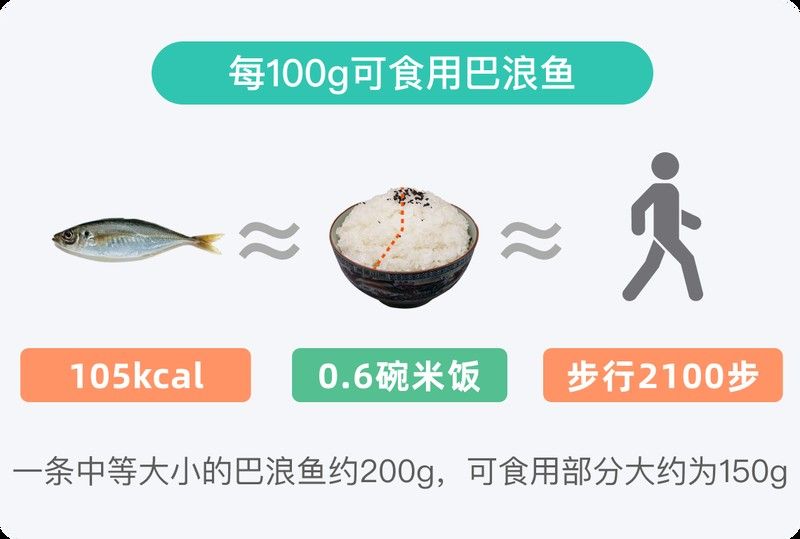 巴浪魚的最佳食用季節：巴浪魚的最佳食用季節主要集中在以下幾個時段 巴浪魚的最佳食用季節：巴浪魚的最佳食用季節主要集中在以下幾個時段 龍魚百科 第7張