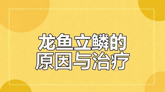 紅龍魚立鱗病復發率高嗎？：紅龍魚立鱗病復發率與飼養管理、水質控制及治療規范性密切相關