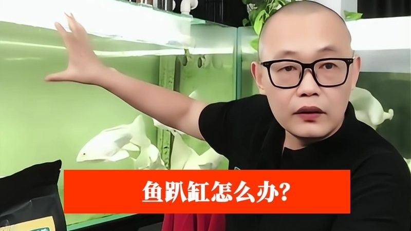 金龍魚趴缸底多久會死：金魚趴缸底的存活時間受多種因素影響