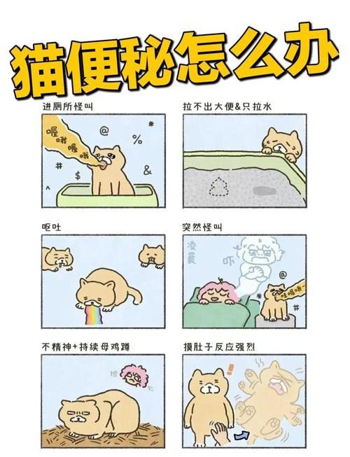龍貓便秘了怎么辦？：龍貓便秘怎么辦